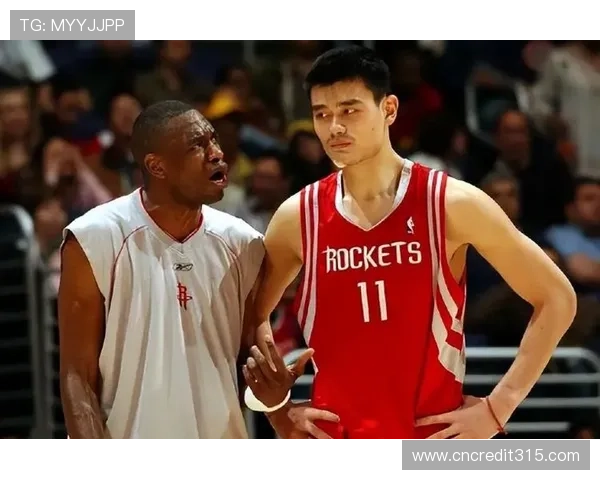 非洲大象姚明的传奇故事与生态保护的紧密联系